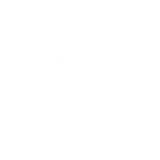 AM13